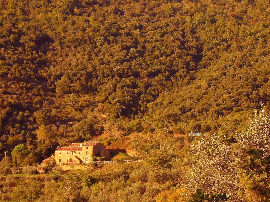 Locanda San Martino A Bocena コルトーナ エクステリア 写真