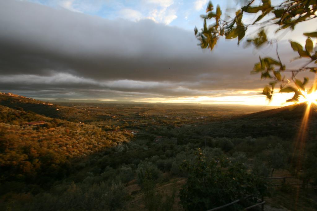 Locanda San Martino A Bocena コルトーナ エクステリア 写真