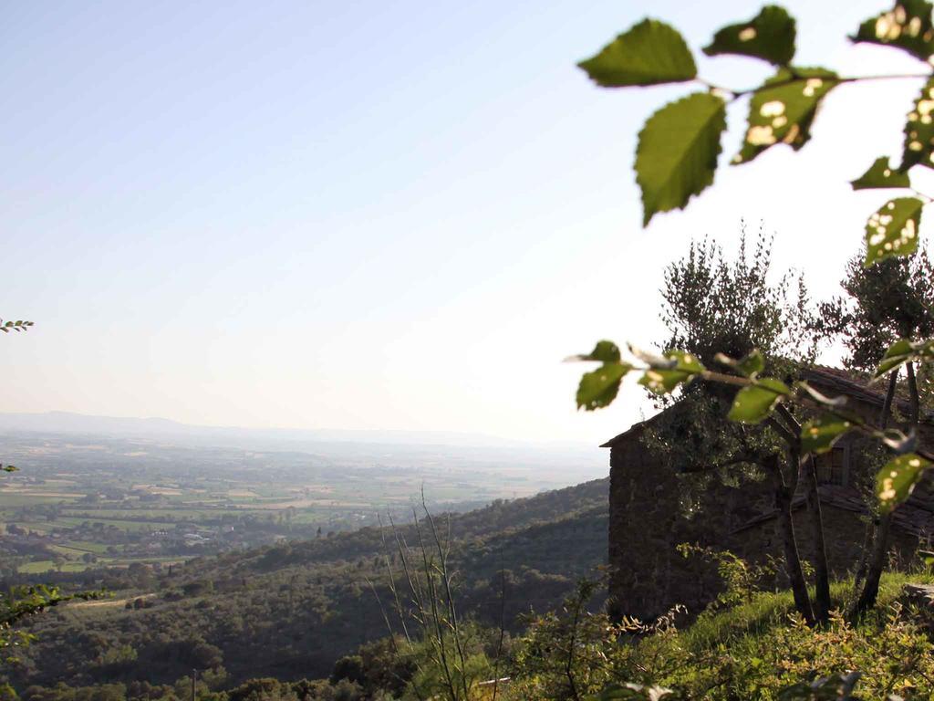 Locanda San Martino A Bocena コルトーナ エクステリア 写真